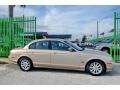 Topaz Beige - S-Type 4.0 Photo No. 7