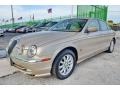 Topaz Beige - S-Type 4.0 Photo No. 67