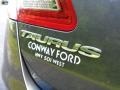 2015 Magnetic Metallic Ford Taurus SEL  photo #6