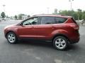 2016 Sunset Metallic Ford Escape SE  photo #9