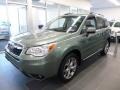 2016 Jasmine Green Metallic Subaru Forester 2.5i Touring  photo #10