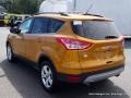 2016 Electric Spice Metallic Ford Escape SE  photo #3