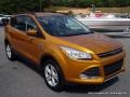 2016 Electric Spice Metallic Ford Escape SE  photo #7