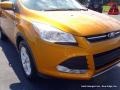 2016 Electric Spice Metallic Ford Escape SE  photo #34