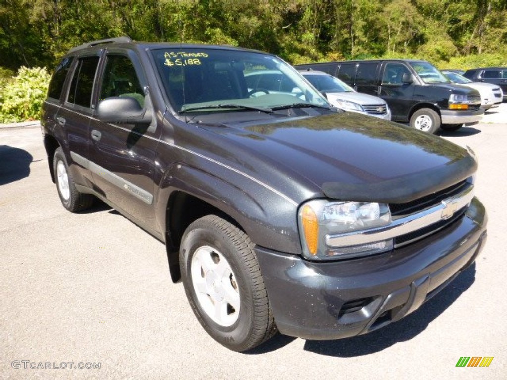 2004 TrailBlazer LS 4x4 - Dark Gray Metallic / Dark Pewter photo #5