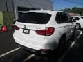Alpine White - X5 xDrive50i Photo No. 6