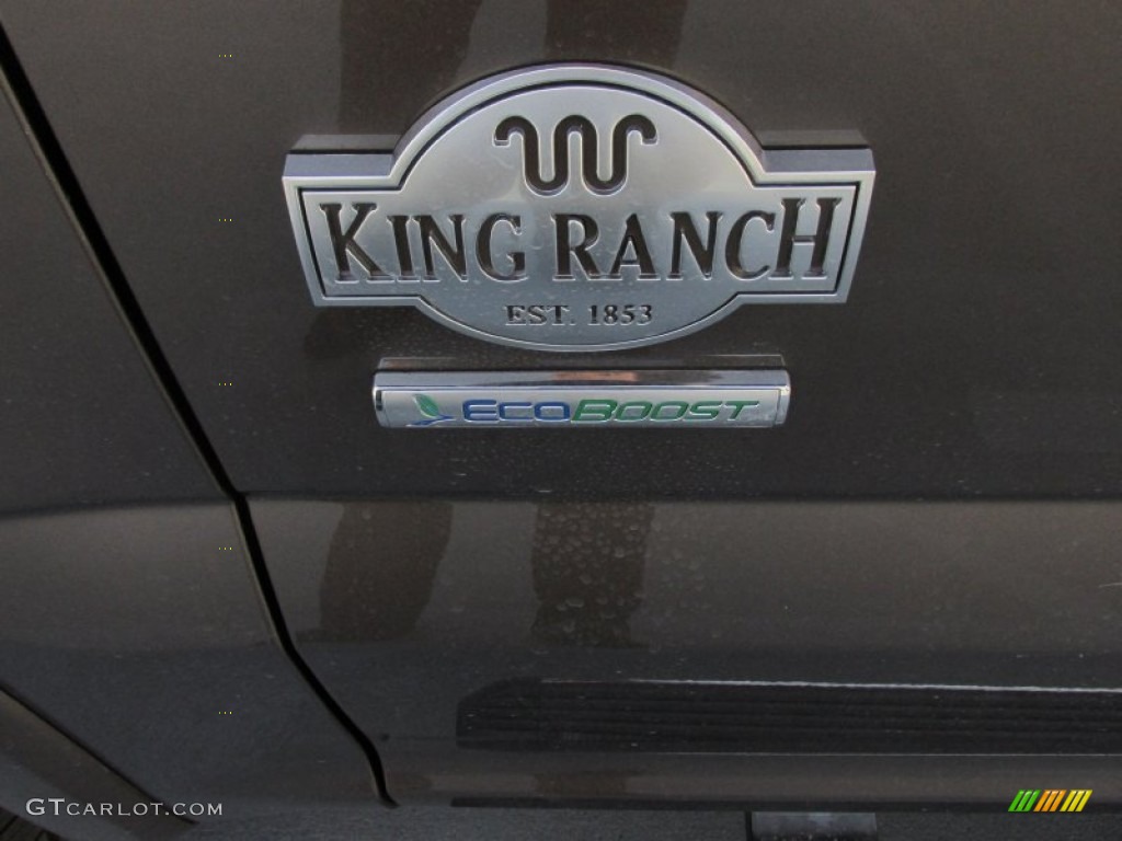 2015 F150 King Ranch SuperCrew - Caribou Metallic / King Ranch Java/Mesa photo #15