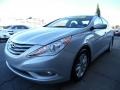 Radiant Silver - Sonata GLS Photo No. 7