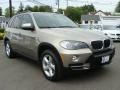 2009 Platinum Bronze Metallic BMW X5 xDrive30i  photo #2