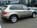 2009 Platinum Bronze Metallic BMW X5 xDrive30i  photo #8