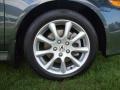 Carbon Gray Pearl - TSX Sedan Photo No. 21