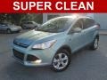 2013 Frosted Glass Metallic Ford Escape SE 1.6L EcoBoost  photo #1