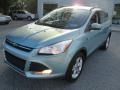 2013 Frosted Glass Metallic Ford Escape SE 1.6L EcoBoost  photo #2