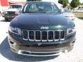 Black Forest Green Pearl - Grand Cherokee Limited 4x4 Photo No. 12