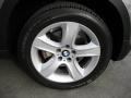 2007 Space Grey Metallic BMW X5 3.0si  photo #20