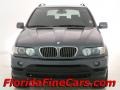 2003 Steel Grey Metallic BMW X5 4.4i  photo #5