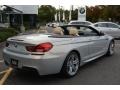 2015 BMW Individual Moonstone Metallic BMW 6 Series 650i xDrive Convertible  photo #4