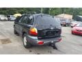 2004 Black Obsidian Hyundai Santa Fe GLS 4WD  photo #3