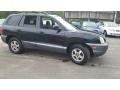 2004 Black Obsidian Hyundai Santa Fe GLS 4WD  photo #6