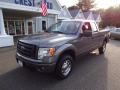 2010 Sterling Grey Metallic Ford F150 STX SuperCab 4x4  photo #3