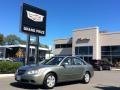 Natural Khaki Green 2009 Hyundai Sonata GLS