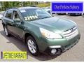 Cypress Green Pearl 2013 Subaru Outback 2.5i Premium