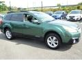 Cypress Green Pearl - Outback 2.5i Premium Photo No. 4