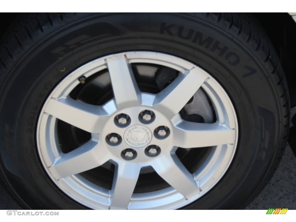 2006 SRX V6 - Light Platinum / Light Gray photo #10