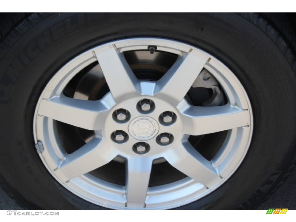 2006 SRX V6 - Light Platinum / Light Gray photo #12