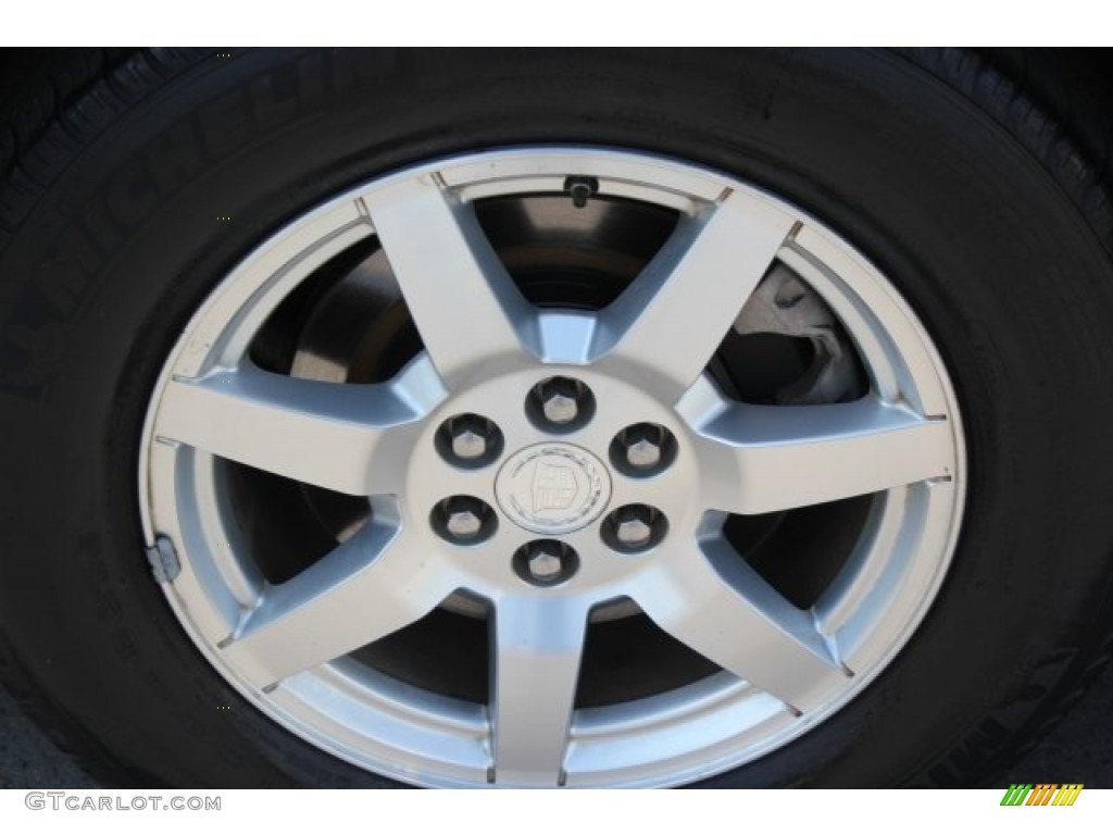 2006 SRX V6 - Light Platinum / Light Gray photo #13