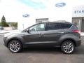 Magnetic Metallic - Escape SE 4WD Photo No. 9