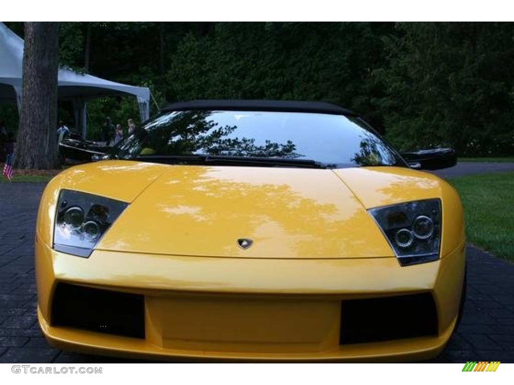 2006 Murcielago Roadster - Giallo Evros (Yellow) / Nero Perseus photo #7