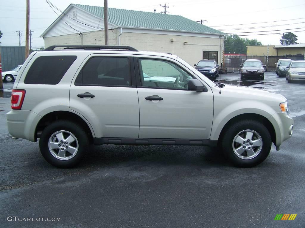 2009 Escape XLT V6 - Light Sage Metallic / Stone photo #3