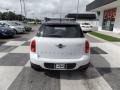 Light White - Countryman Cooper Photo No. 4