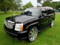 Sable Black - Escalade  Photo No. 13