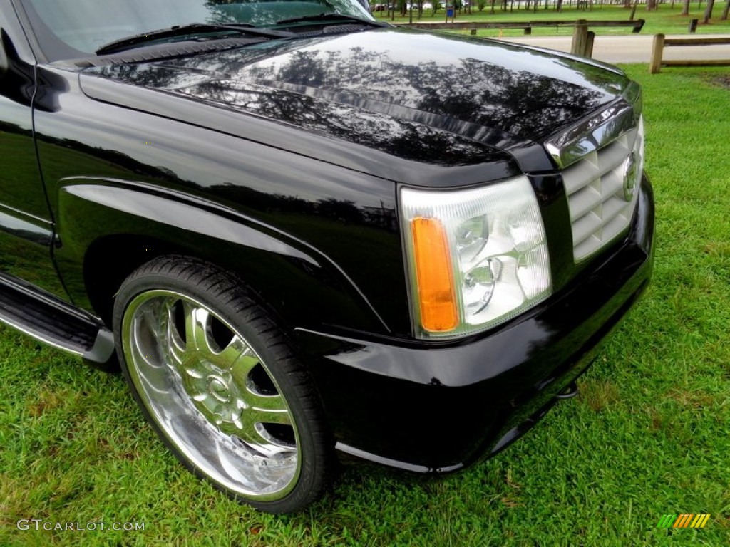 2003 Escalade  - Sable Black / Pewter photo #18
