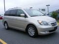 Silver Pearl Metallic - Odyssey Touring Photo No. 2