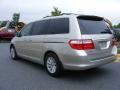 Silver Pearl Metallic - Odyssey Touring Photo No. 3
