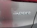 2016 Mineral Gray Hyundai Santa Fe Sport   photo #14