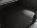 Ingot Silver - Fusion S Photo No. 11