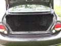 Gray Lustre Metallic - Maxima GLE Photo No. 21