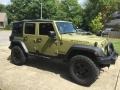 Commando Green - Wrangler Unlimited Rubicon 4x4 Photo No. 2
