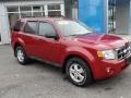 2010 Sangria Red Metallic Ford Escape XLT 4WD  photo #8
