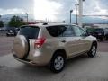 Sandy Beach Metallic - RAV4 I4 4WD Photo No. 5