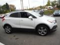 Quicksilver Metallic - Encore AWD Photo No. 7