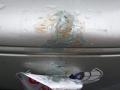 2001 White Gold Crystal Lexus RX 300 AWD  photo #7