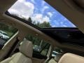 Candy White - Jetta TDI SportWagen Photo No. 12