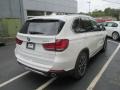 Alpine White - X5 xDrive35i Photo No. 6
