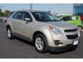 Champagne Silver Metallic 2013 Chevrolet Equinox LS Exterior