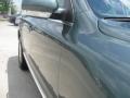Reed Green Metallic - Touareg V6 Photo No. 3